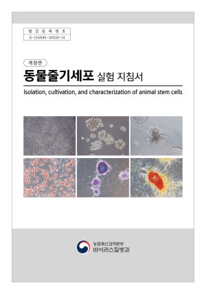 (������) �����ٱ⼼�� ���� ��ħ��