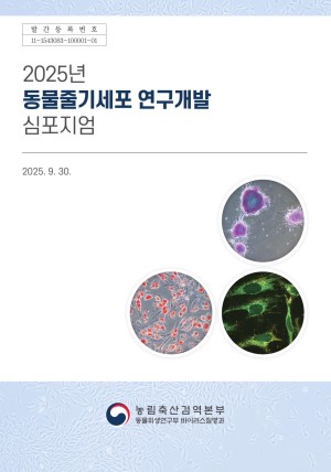 2025�� �����ٱ⼼�� �������� ��������