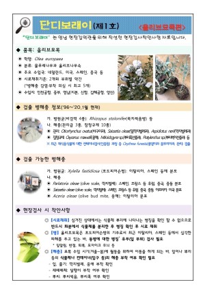 ���������� "�ܵ𺸷���" ��2020-1ȣ(�ø��� ������)