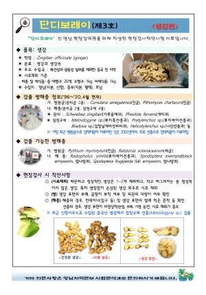 ���������� "�ܵ𺸷���" ��2020-3ȣ(������)