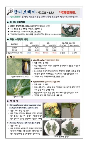 ���������� " �ܵ𺸷���" ��2021-1ȣ (��ȭ��ȭ��)