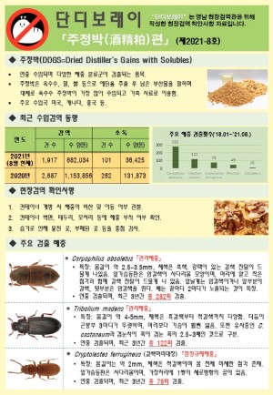 ���������� " �ܵ𺸷���" ��2021-8ȣ (��������)