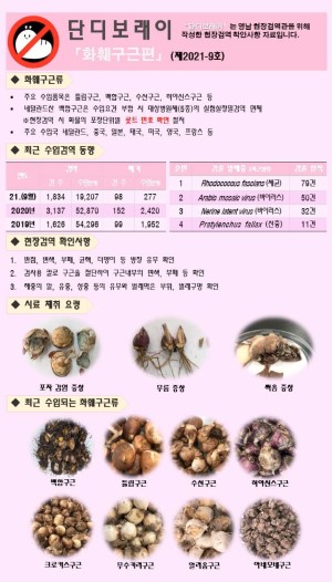 ���������� " �ܵ𺸷���" ��2021-9ȣ (ȭ�ѱ�����)