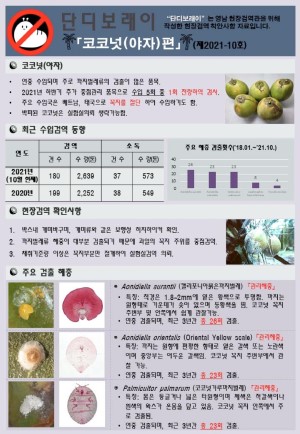 ���������� " �ܵ𺸷���" ��2021-10ȣ (���ڳ���)