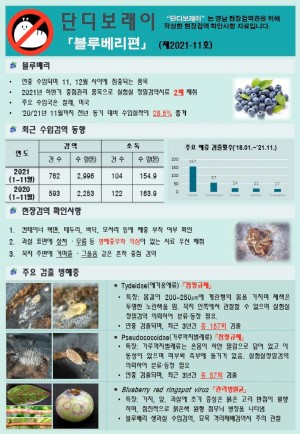 ���������� " �ܵ𺸷���" ��2021-11ȣ (���纣����)