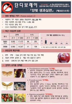 ���������� " �ܵ𺸷���" ��2022-1ȣ (�红 ��������)