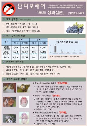 ���������� " �ܵ𺸷���" ��2022-4ȣ (���� ��������)