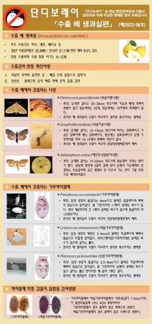 ���������� " �ܵ𺸷���" ��2022-6ȣ (���� �� ��������)