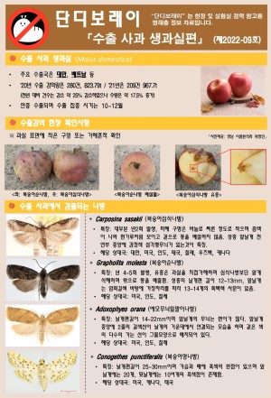 ���������� " �ܵ𺸷���" ��2022-9ȣ (���� ��� ��������)