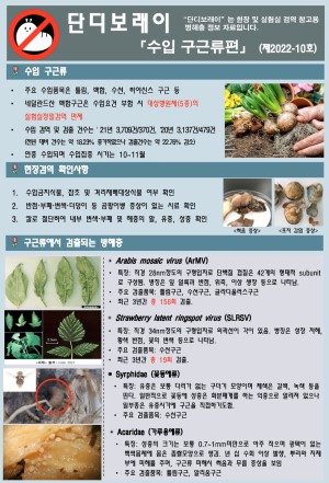 ���������� " �ܵ𺸷���" ��2022-10ȣ (���� ���ٷ���)