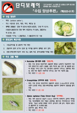 ���������� "�ܵ𺸷���" ��2023-1ȣ (���� �������)