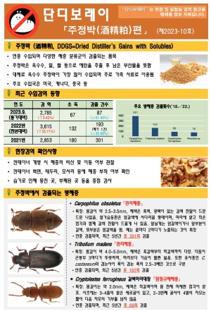 ���������� "�ܵ𺸷���" ��2023-10ȣ (���� ��������)