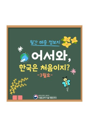 ���� ���� ������_��� �ѱ��� ó������? (3��ȣ)