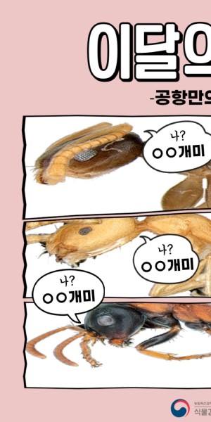 ÀÌ´ÞÀÇ ÇØÃæ_°øÇ׸¸ÀÇ °³¹ÌÆí