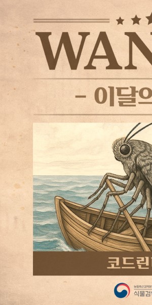 �̴��� ����_�ڵ帰���� ��