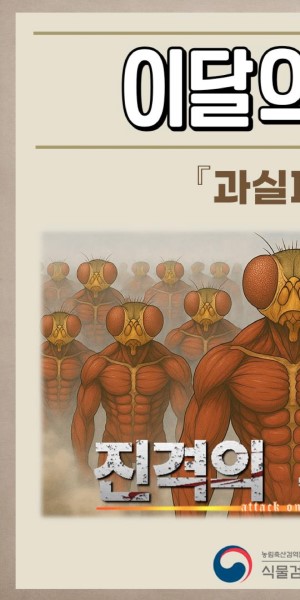 �̴��� ����_�����ĸ� ��