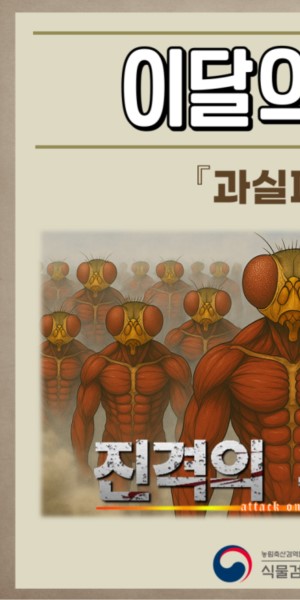 �̴��� ����_�����ĸ� ��