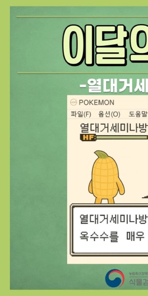 �̴��� ����_����ż��̳��� ��