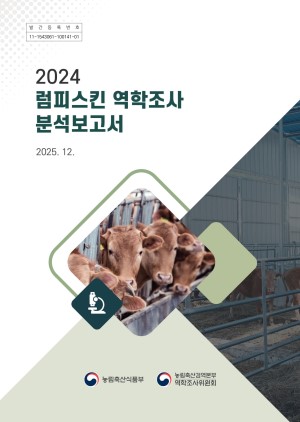 2024 ���ǽ�Ų �������� �м�������