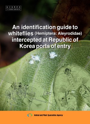 An identification guide to whiteflies (Hemiptera: Aleyrodidae) intercepted at Republic of Korea ports of entry