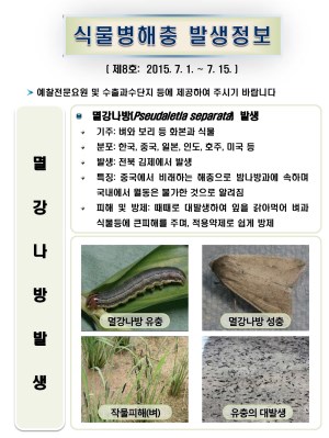 (2015년 8호) 식물병해충 발생정보 