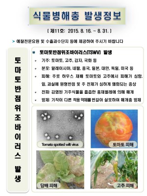 (2015년 11호) 식물병해충 발생정보 