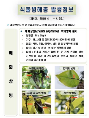 (2016년 4호) 식물병해충 발생정보 