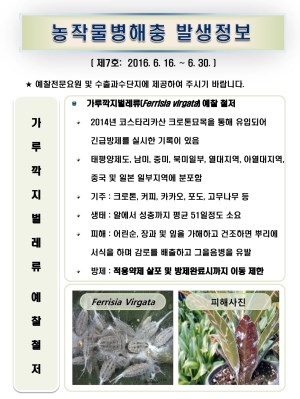 (2016년 7호) 식물병해충 발생정보 