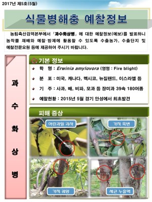 (2017년 5호) 식물병해충 발생정보 