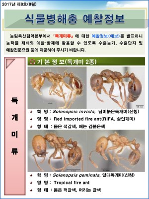 (2017년 8호) 식물병해충 발생정보 