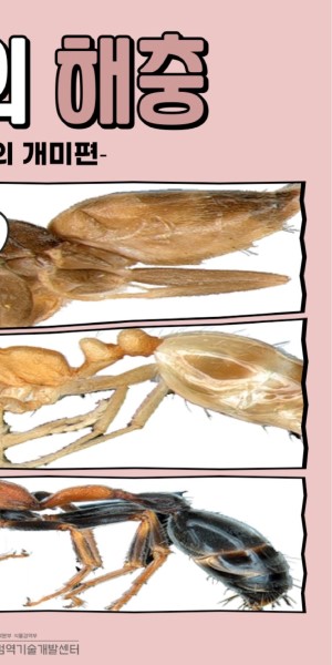 ÀÌ´ÞÀÇ ÇØÃæ_°øÇ׸¸ÀÇ °³¹ÌÆí