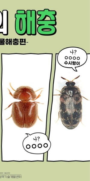 �̴��� ����_����������