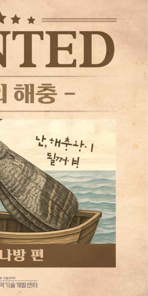 �̴��� ����_�ڵ帰���� ��