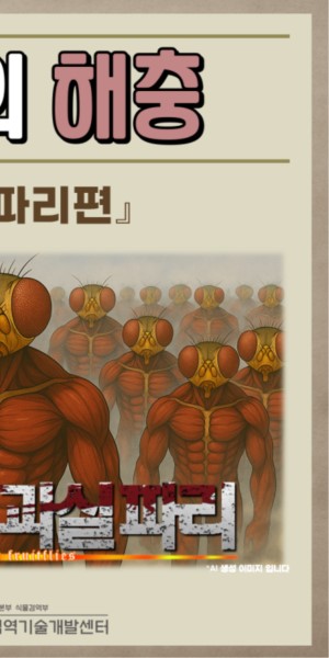 �̴��� ����_�����ĸ� ��